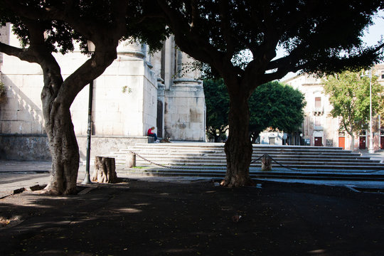 Scene di vita metropolitana