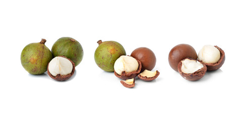 macadamia nuts on white background