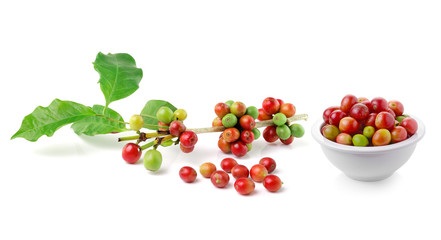fresh coffee beans on white background