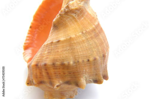 500_F_75439300_eOXObClWq62EJc14DqYEW6h8j6LJ2K0W.jpg