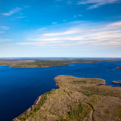 Forest lake in spring, top view
