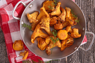 chanterelle