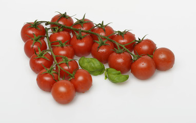 Strauchtomaten Cocktailtomaten