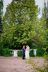the bride and groom walk in the park