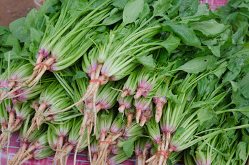 green vegetables in market