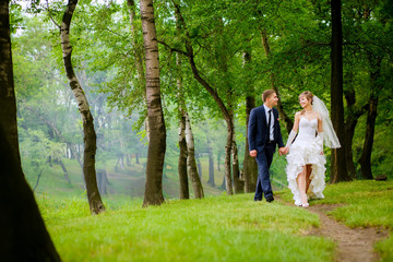 Fototapeta premium the bride and groom walk in the park