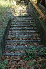 Fototapeta na wymiar Staircase with leaf litter