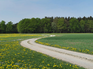 Feldweg