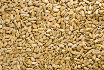 sunflower seeds