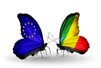 Two butterflies with flags EU and Kongo