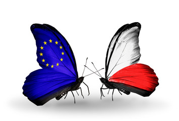 Two butterflies with flags  EU and Poland