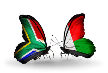Two butterflies with flags South Africa and Madagascar