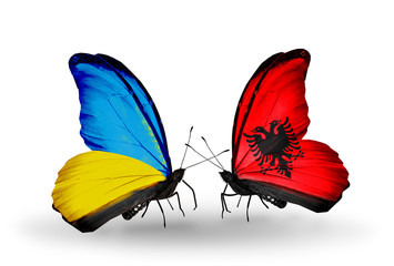 Two butterflies with flags Ukraine and Albania