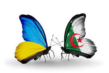 Two butterflies with flags Ukraine and Algeria