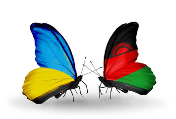 Two butterflies with flags  Ukraine and Malawi