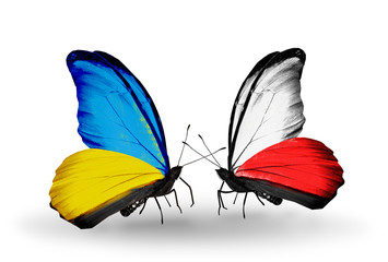 Two butterflies with flags Ukraine and Poland
