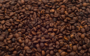 Isolated coffee beans