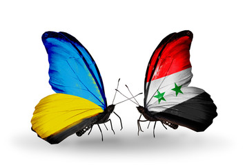 Two butterflies with flags Ukraine and Syria