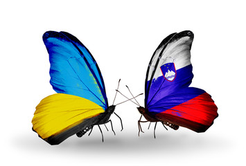 Two butterflies with flags  Ukraine and Slovenia