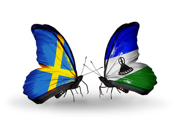 Two butterflies with flags Sweden and Lesotho