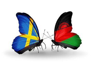 Two butterflies with flags Sweden and Malawi