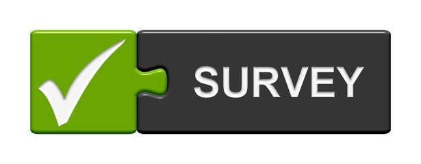 Puzzle Button: Survey Umfrage