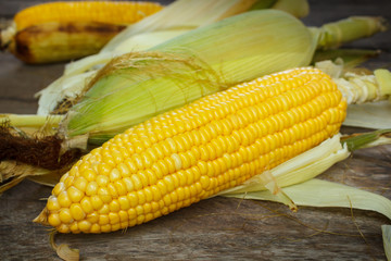 Corn.