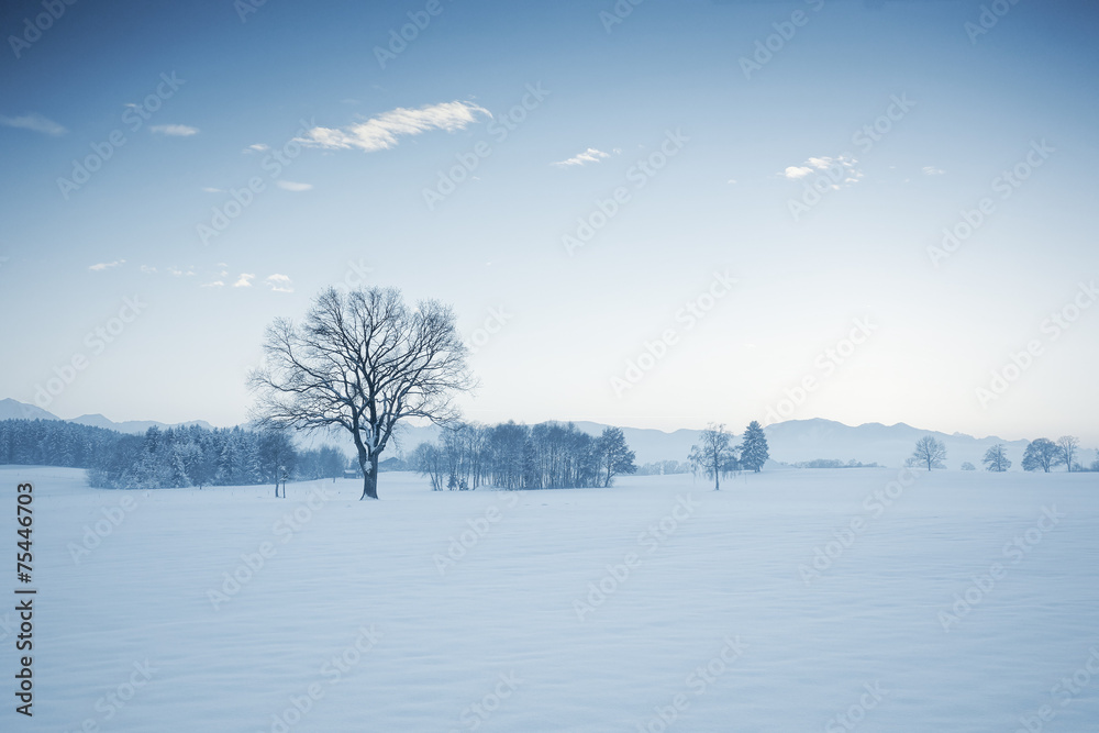 Wall mural winter scenery