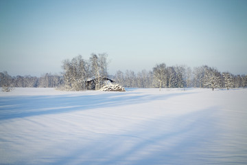 winter scenery