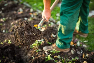 Abwaschbare Fototapete Gartenarbeit - Mann gräbt die Gartenerde mit einem Spud © lightpoet