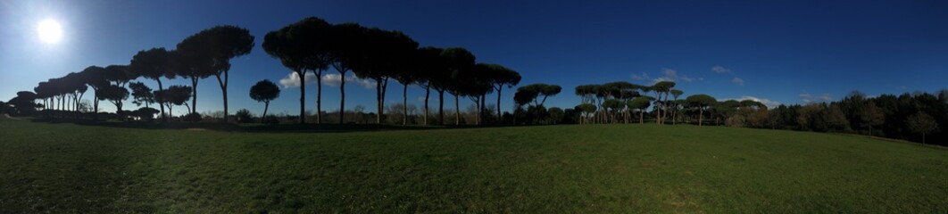 Fototapeta na wymiar Villa Doria Pamphili parco Roma Italia panoramica