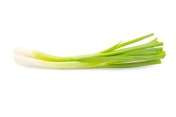 Obraz na płótnie Canvas green onion