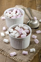 Fototapeta na wymiar fresh chocolate mousse with marshmallow