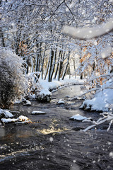 Winter landscape with the river in frosty sunny day