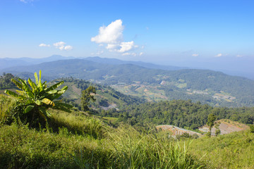 Mountain in the tropical forest