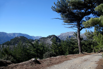 Fototapeta na wymiar Cretan Mountain landscape