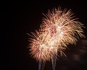 Obraz premium Colorful fireworks in the night sky
