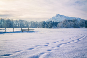 Winterlandschaft - blick zum Untersberg