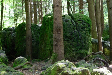 Druidenhain Fränkische Schweiz