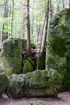 Druidenhain Fr&auml;nkische Schweiz