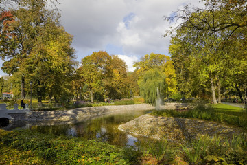 Small pond and weeping willow © Aleksandr Volkov