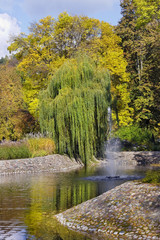 Small pond and weeping willow