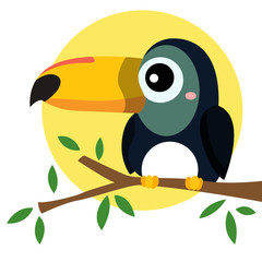toucan bird