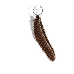 arthropleura