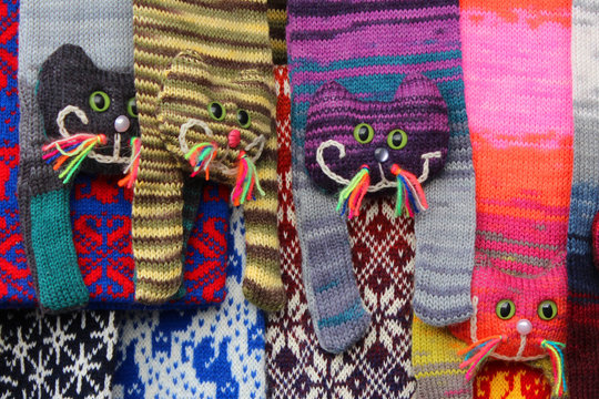 Chat / &eacute;charpe tricot&eacute;e - Cat / knitted scarf