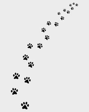 Footprints of cat, turn right-vector illustration