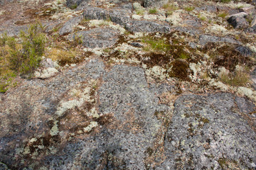 Rocky hill in Republic of Karelia, Russia 