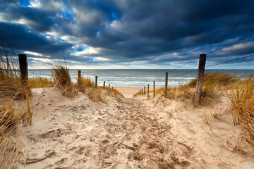 Chemin de sable vers la plage de la mer du Nord