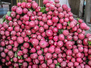 Radish
