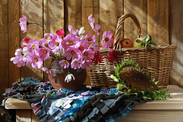 Obraz premium Космеи